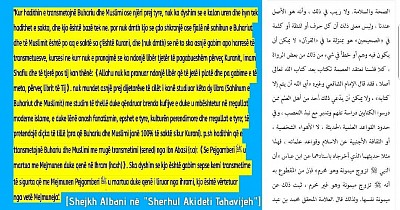 Fjalët e Albanit në parathënien e shpjegimit të Tahaviut